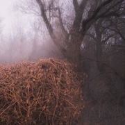 DVD/Blu-ray-Review: The Devil's Trade - Nincs Szennyezetlen Szép